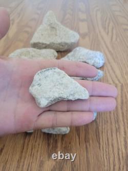 Coyote / Snake + Native American Indian Stone Effigy Rock Art, Artifacts, Tools