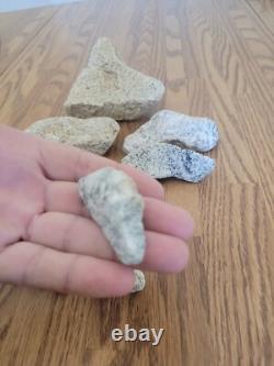Coyote / Snake + Native American Indian Stone Effigy Rock Art, Artifacts, Tools