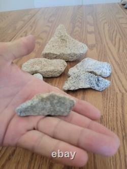 Coyote / Snake + Native American Indian Stone Effigy Rock Art, Artifacts, Tools