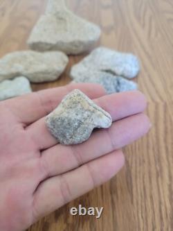 Coyote / Snake + Native American Indian Stone Effigy Rock Art, Artifacts, Tools