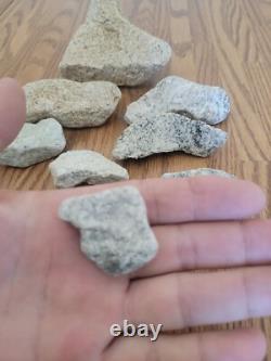 Coyote / Snake + Native American Indian Stone Effigy Rock Art, Artifacts, Tools