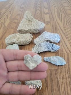 Coyote / Snake + Native American Indian Stone Effigy Rock Art, Artifacts, Tools