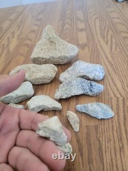 Coyote / Snake + Native American Indian Stone Effigy Rock Art, Artifacts, Tools