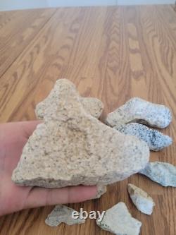 Coyote / Snake + Native American Indian Stone Effigy Rock Art, Artifacts, Tools