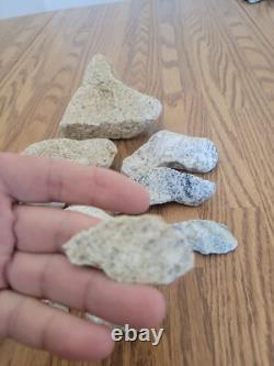 Coyote / Snake + Native American Indian Stone Effigy Rock Art, Artifacts, Tools