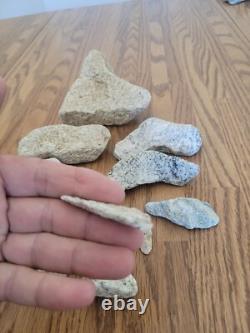 Coyote / Snake + Native American Indian Stone Effigy Rock Art, Artifacts, Tools