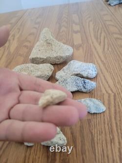 Coyote / Snake + Native American Indian Stone Effigy Rock Art, Artifacts, Tools