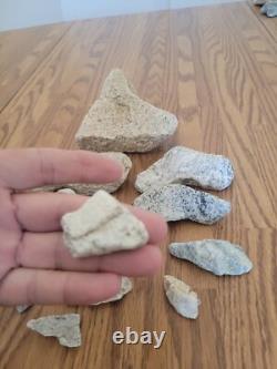 Coyote / Snake + Native American Indian Stone Effigy Rock Art, Artifacts, Tools