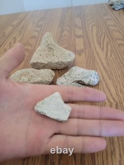 Coyote / Snake + Native American Indian Stone Effigy Rock Art, Artifacts, Tools