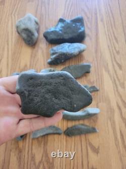 Coyote, Snakes, Fish Native American Indian Stone Effigy Art, Artifacts, Tools