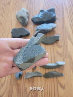 Coyote, Snakes, Fish Native American Indian Stone Effigy Art, Artifacts, Tools