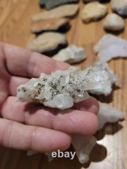 Dinosaur Head Native American Indian Stone Effigy Rock Art, Artifacts, Tools