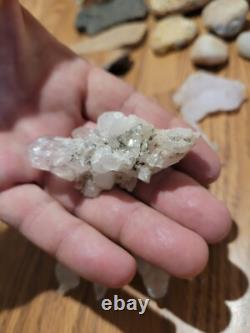 Dinosaur Head Native American Indian Stone Effigy Rock Art, Artifacts, Tools