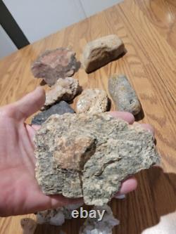 Dinosaur Head Native American Indian Stone Effigy Rock Art, Artifacts, Tools