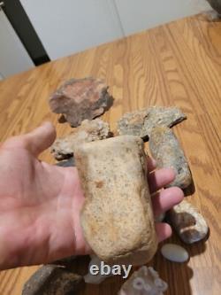 Dinosaur Head Native American Indian Stone Effigy Rock Art, Artifacts, Tools