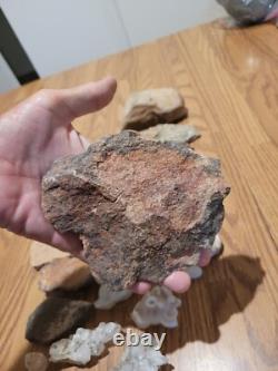 Dinosaur Head Native American Indian Stone Effigy Rock Art, Artifacts, Tools