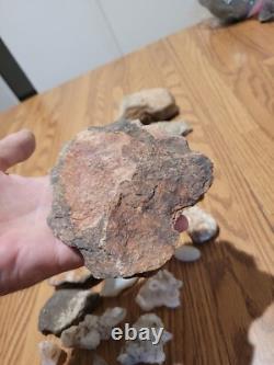 Dinosaur Head Native American Indian Stone Effigy Rock Art, Artifacts, Tools