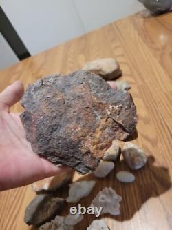 Dinosaur Head Native American Indian Stone Effigy Rock Art, Artifacts, Tools