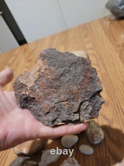 Dinosaur Head Native American Indian Stone Effigy Rock Art, Artifacts, Tools