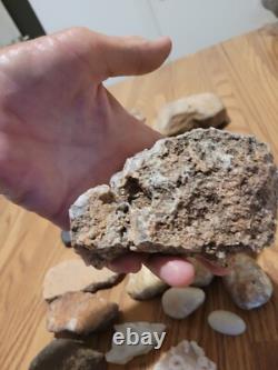 Dinosaur Head Native American Indian Stone Effigy Rock Art, Artifacts, Tools