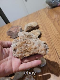 Dinosaur Head Native American Indian Stone Effigy Rock Art, Artifacts, Tools