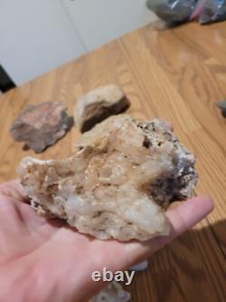 Dinosaur Head Native American Indian Stone Effigy Rock Art, Artifacts, Tools