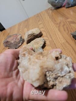 Dinosaur Head Native American Indian Stone Effigy Rock Art, Artifacts, Tools