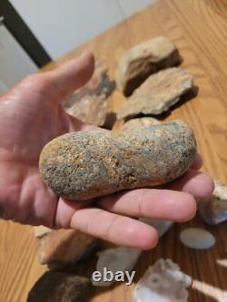 Dinosaur Head Native American Indian Stone Effigy Rock Art, Artifacts, Tools