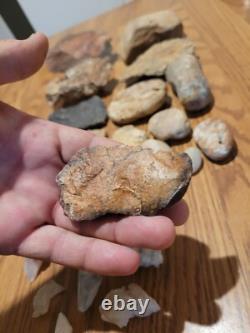 Dinosaur Head Native American Indian Stone Effigy Rock Art, Artifacts, Tools