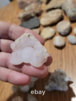 Dinosaur Head Native American Indian Stone Effigy Rock Art, Artifacts, Tools