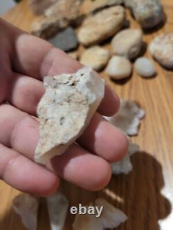 Dinosaur Head Native American Indian Stone Effigy Rock Art, Artifacts, Tools