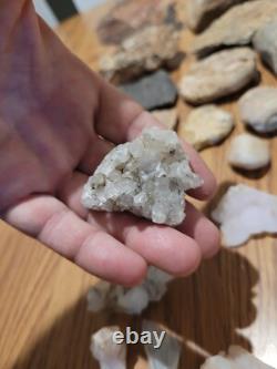 Dinosaur Head Native American Indian Stone Effigy Rock Art, Artifacts, Tools