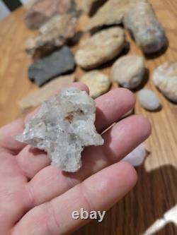 Dinosaur Head Native American Indian Stone Effigy Rock Art, Artifacts, Tools