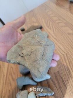 Dinosaur / Snake Native American Indian Stone Effigy Art, Artifacts, Tools