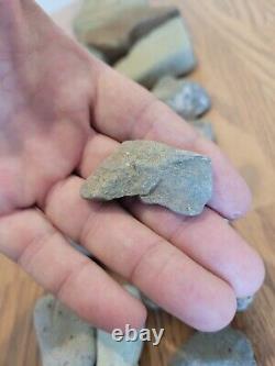 Dinosaur / Snake Native American Indian Stone Effigy Art, Artifacts, Tools