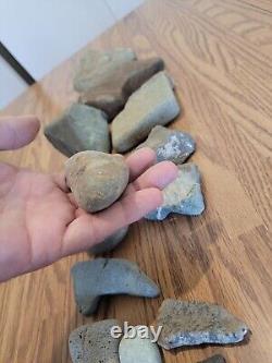 Dinosaur / Snake Native American Indian Stone Effigy Art, Artifacts, Tools