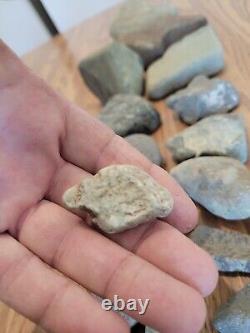 Dinosaur / Snake Native American Indian Stone Effigy Art, Artifacts, Tools