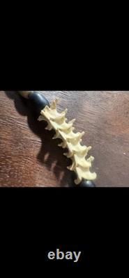 Early 1900s Native American Sovereigns