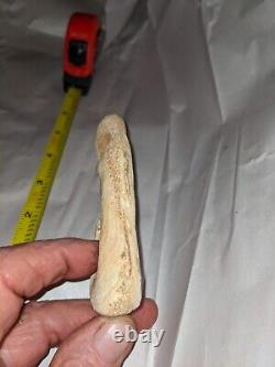 Early Big Bone fishing Hook, Arrowheads Indian