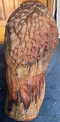 Early Large Manzanita Wood Carved Native American Chief Bust by Bob Boomer 1982