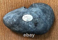Early Native American Artifact. Hard Stone Hammer Head. Finely Carved Tomahawk