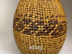 Early Tulare Lake California YOKUT Bottle BASKET Native American Indian