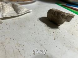 Early native american bear effigy