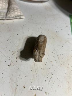 Early native american bear effigy