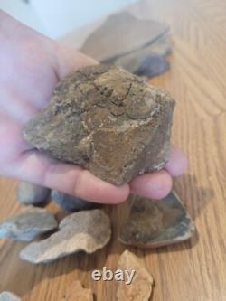 Fish / Bird Native American Indian Stone Effigy Rock Art, Artifacts, Tools