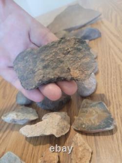 Fish / Bird Native American Indian Stone Effigy Rock Art, Artifacts, Tools