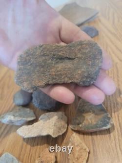 Fish / Bird Native American Indian Stone Effigy Rock Art, Artifacts, Tools