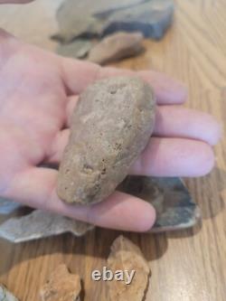 Fish / Bird Native American Indian Stone Effigy Rock Art, Artifacts, Tools