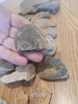 Fish / Bird Native American Indian Stone Effigy Rock Art, Artifacts, Tools