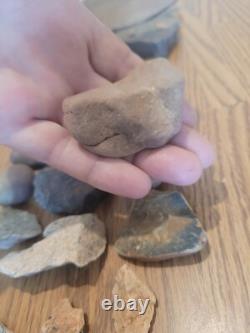 Fish / Bird Native American Indian Stone Effigy Rock Art, Artifacts, Tools